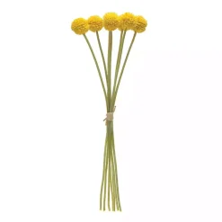 Stems & Bouquets>Kirklands Home Pod Sprays, Set of 6 Yellow