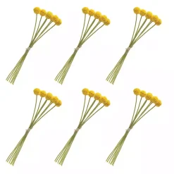 Stems & Bouquets><noscript><img width=