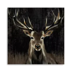 Kirklands Home Young Buck Giclee Canvas Art Print, 40x40 in. Black