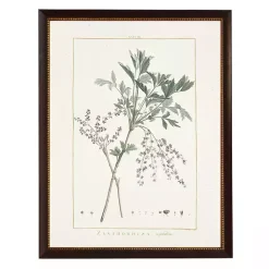 Kirklands Home Zanthorhiza Greenery Black Beaded Framed Art Print Outlet