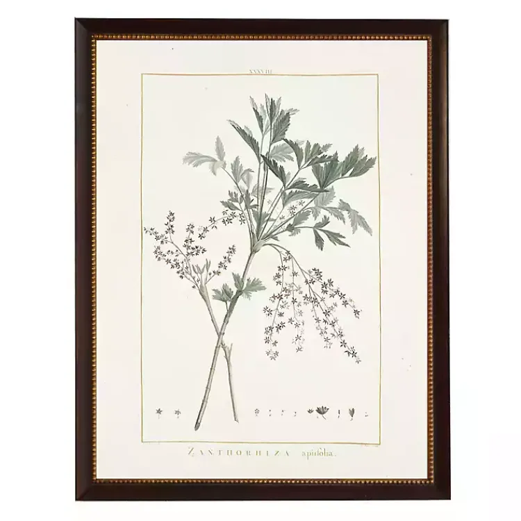 Kirklands Home Zanthorhiza Greenery Black Beaded Framed Art Print Outlet
